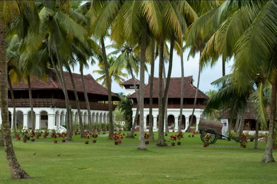 Photo of Make the most of you