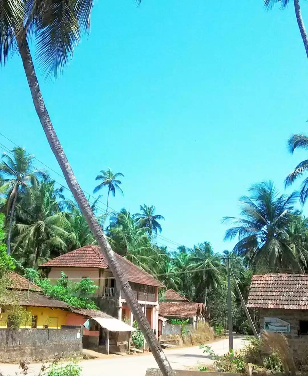 Photo of There is no place in