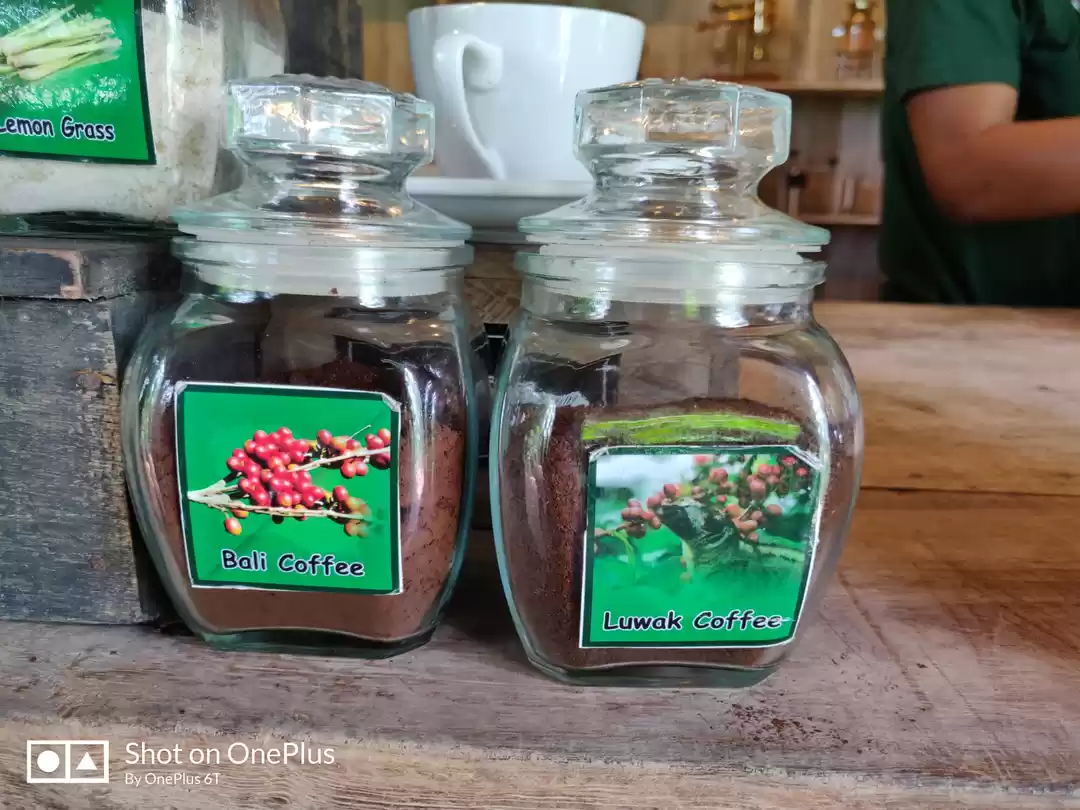 Photo of Luwak Coffee of Bali