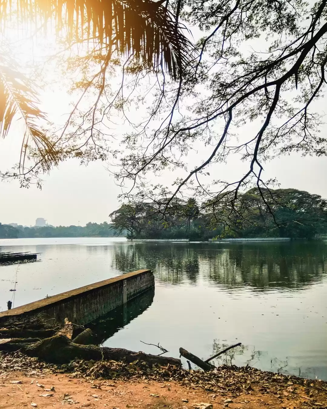Photo of The Ulsoor Lake , Ba