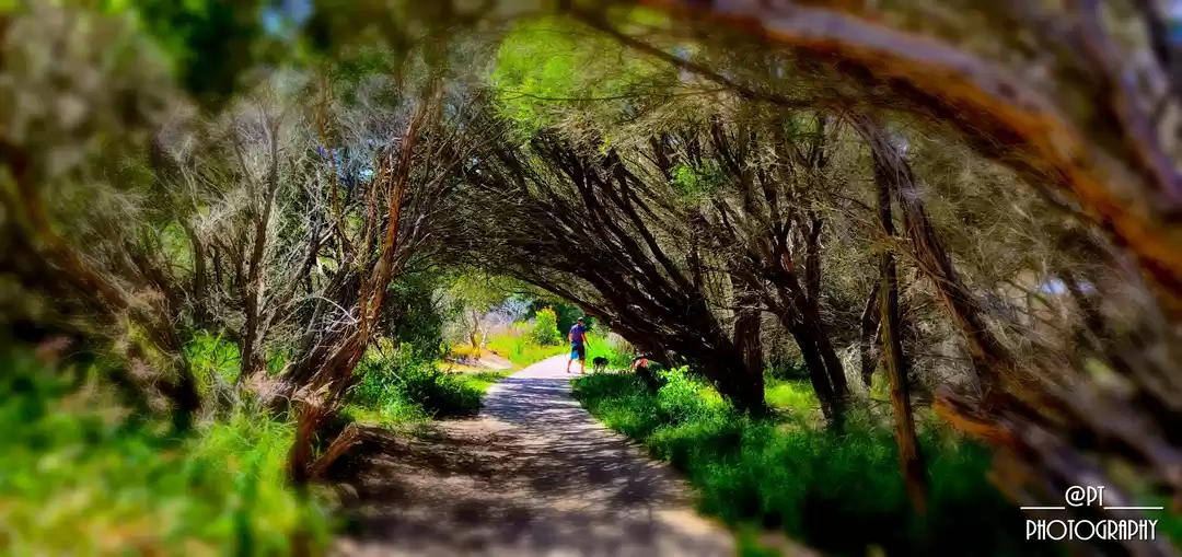 Photo of Best locations of Po