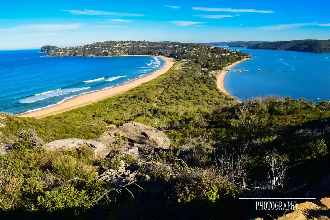 Photo of PALM BEACH - A day 