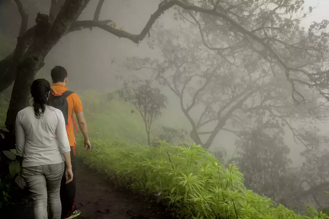 Photo of A trek to Rajgadh, M