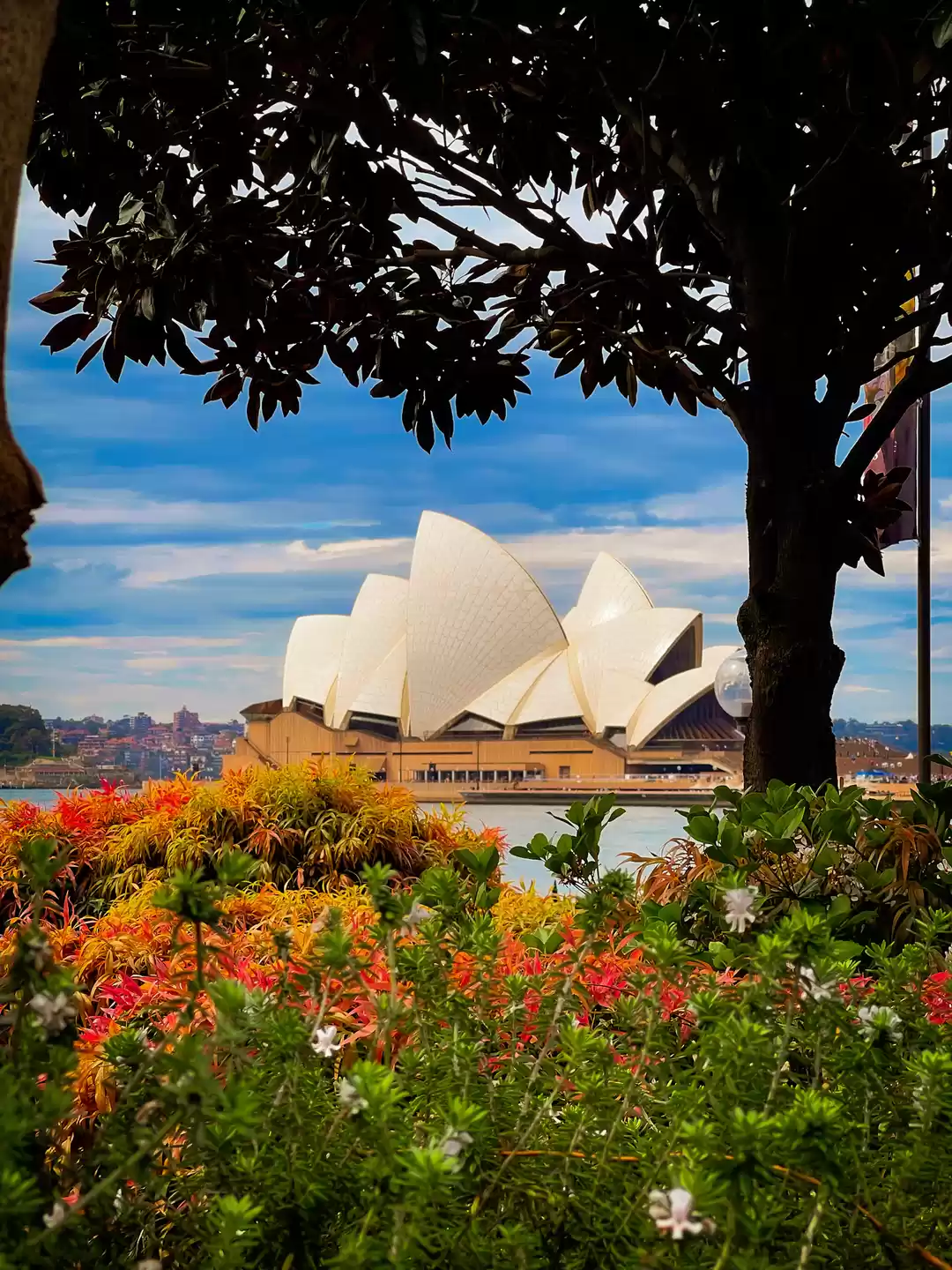 Photo of Sydney coloured in S