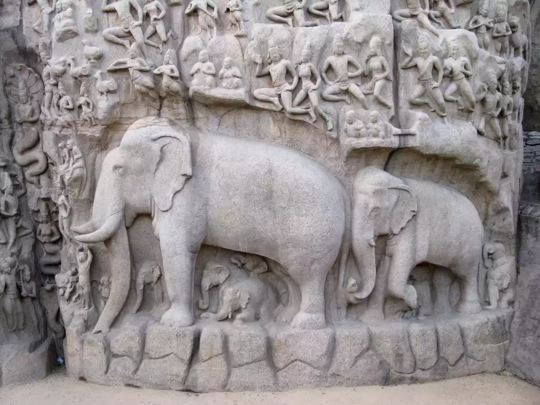 Photo of A short trip to Maha