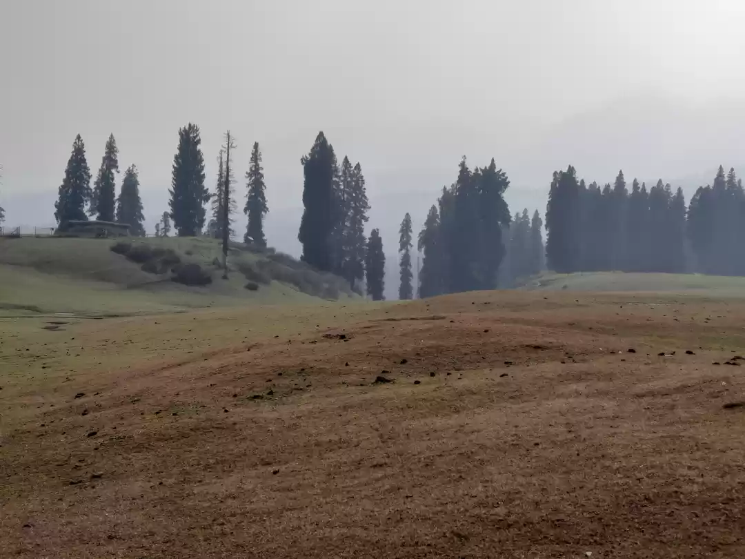 Photo of Doodhpathri Diaries
