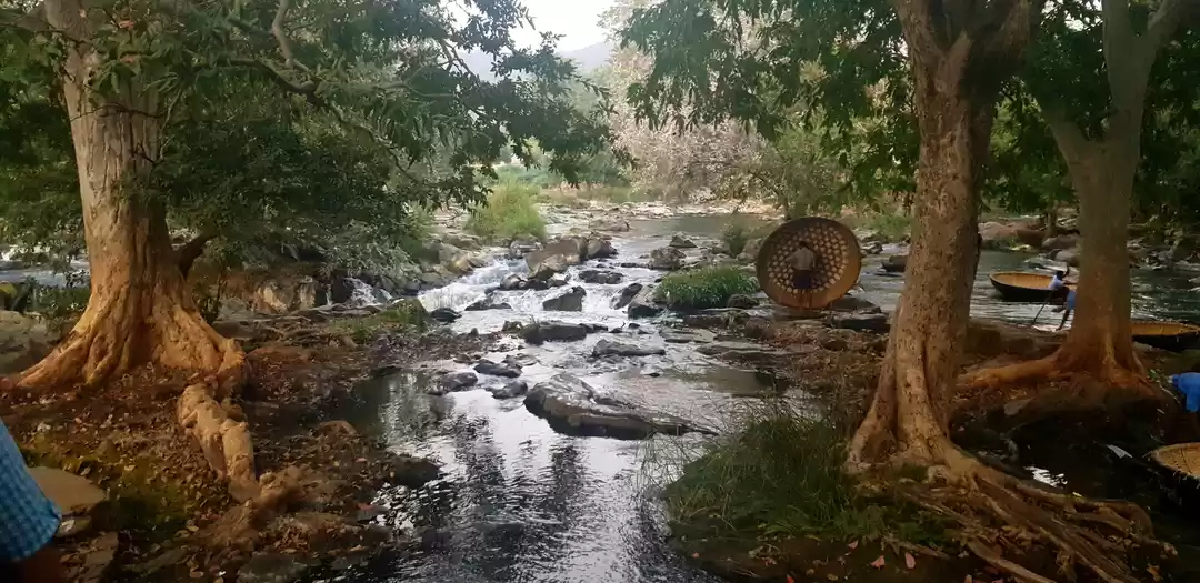 Photo of Hogenakkal Falls - D