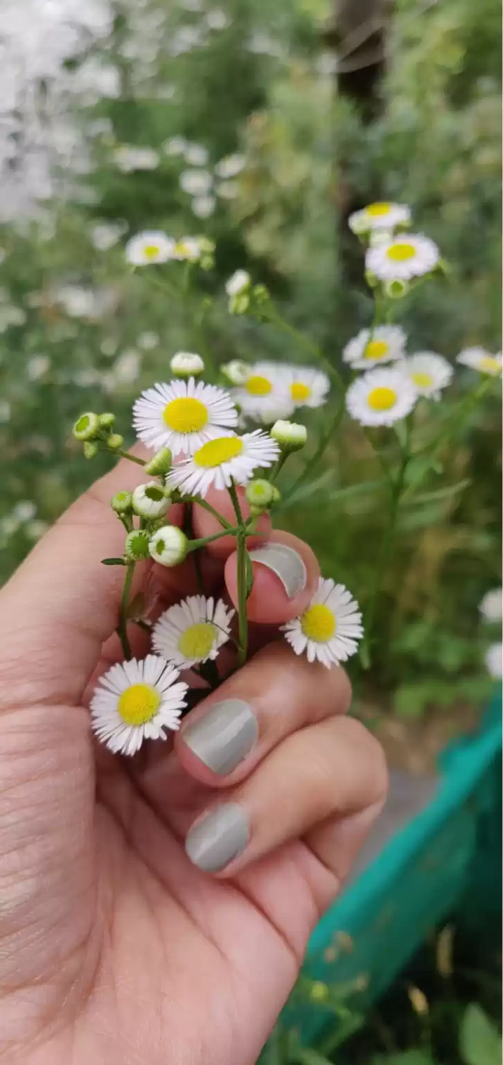 Photo of Hampta Pass, Will Ma