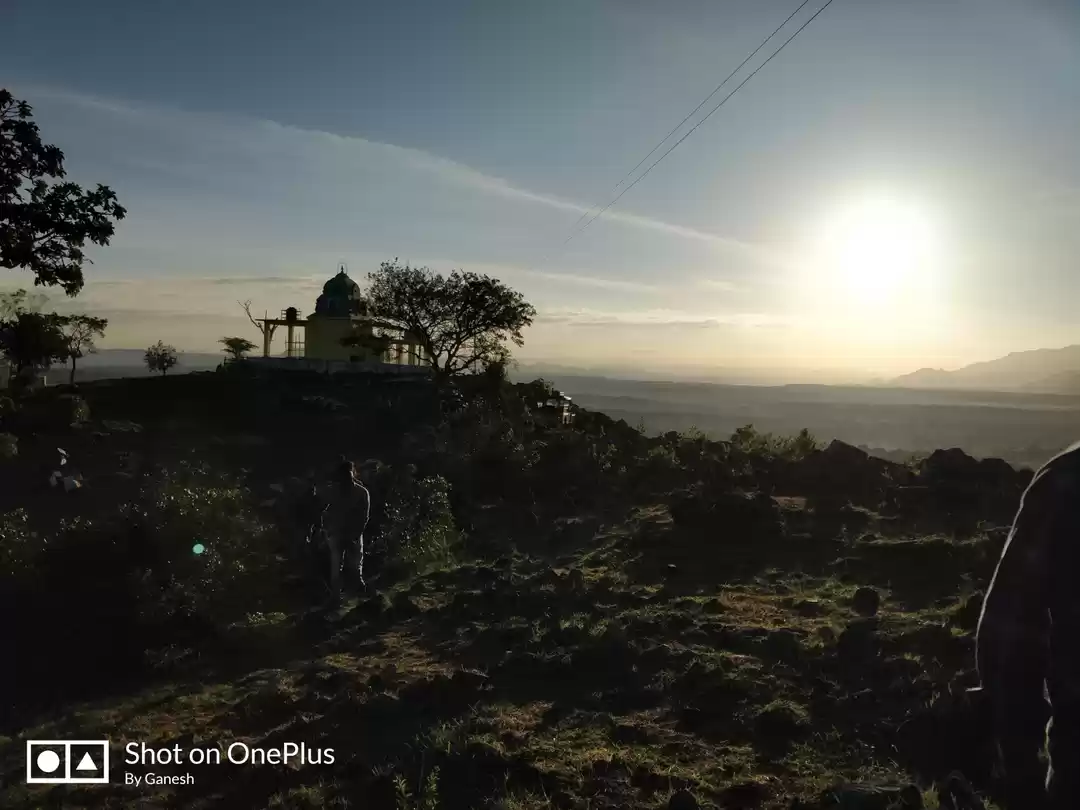 Photo of Mudumalai wild life 