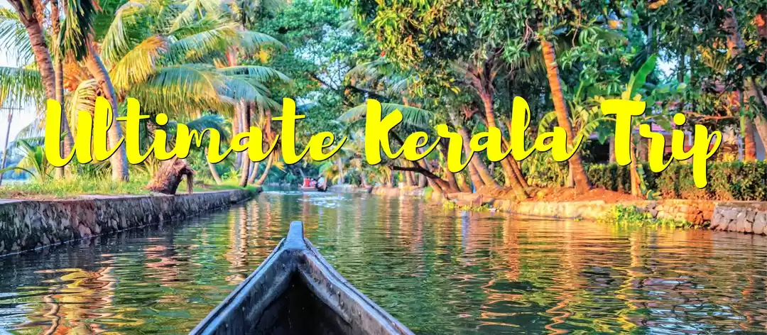 Photo of The ultimate Kerala 