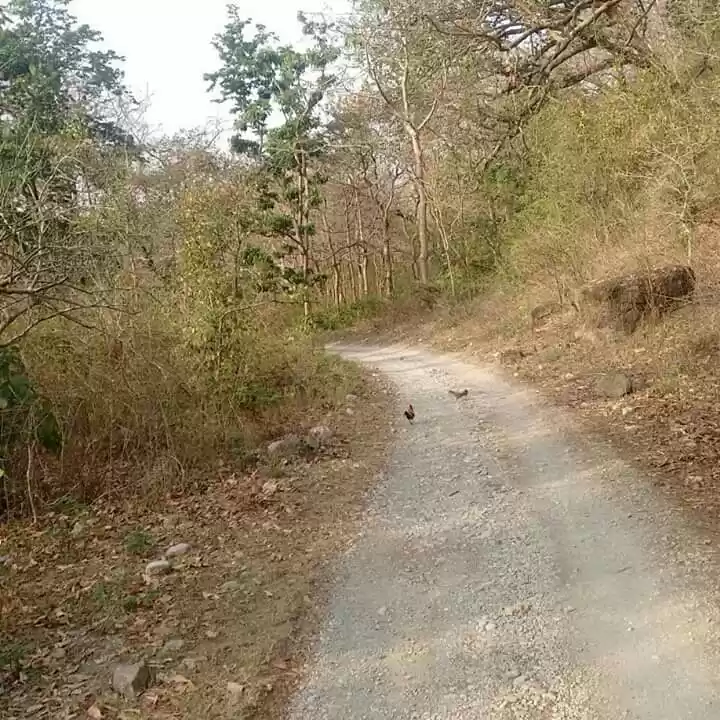 Photo of An amazing day in Ji