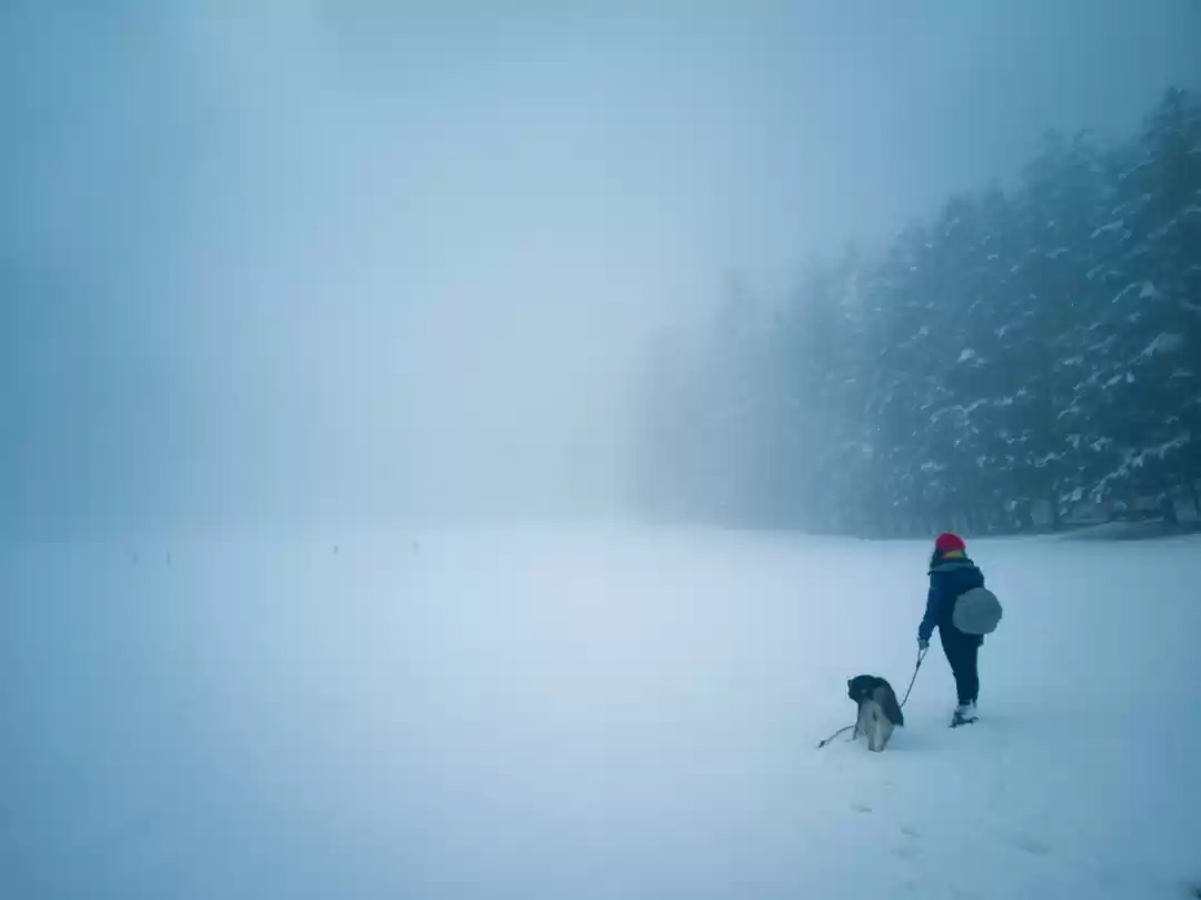 Photo of Plan to get stuck in