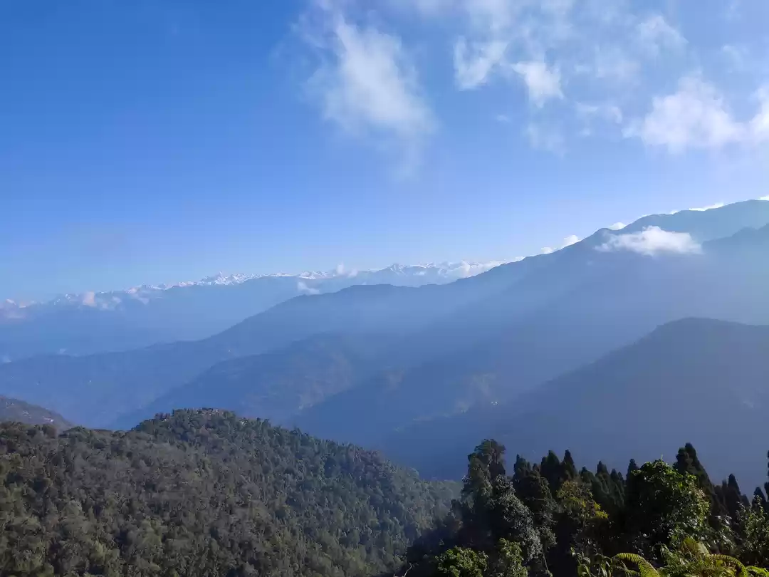 Photo of Lava-Rishop