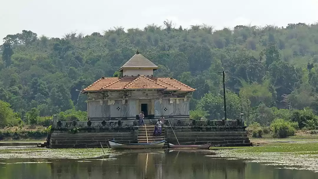 Photo of Serene Divinity - Va