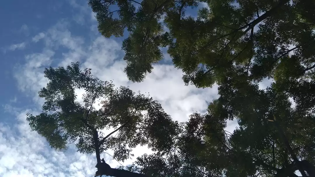 Photo of Seeking peace throug