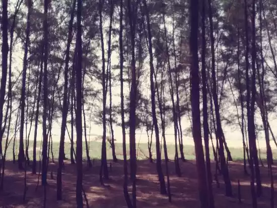 Photo of CHOOTAD BEACH . 