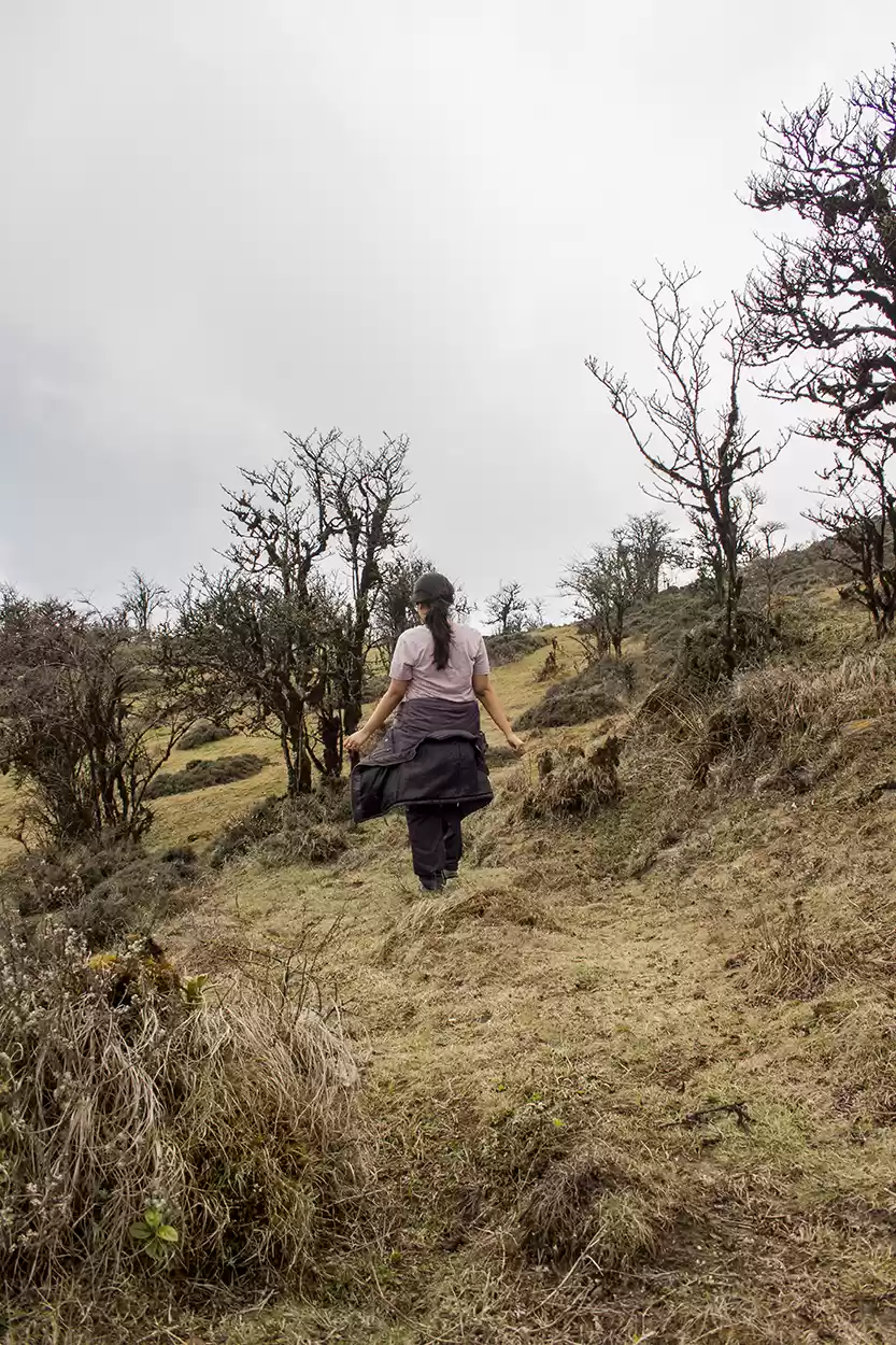 Photo of Trekking for the fir