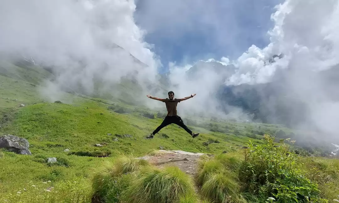 Photo of Valley of Flowers - 