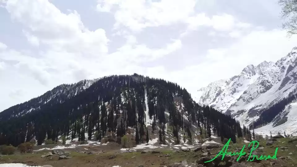 Photo of जानना चाहते हैं किन