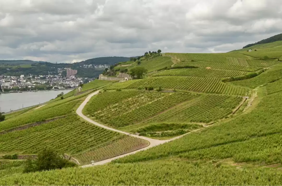 Photo of Germany - Day Trip t