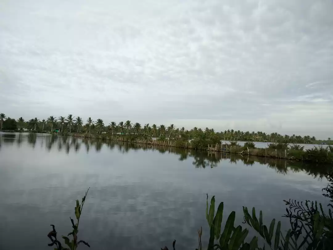 Photo of Discover the fascina