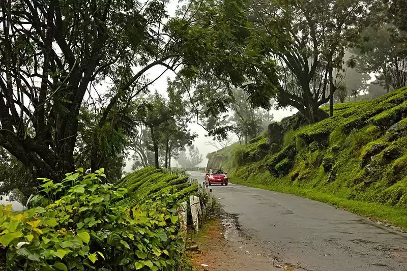 Photo of Travel amid Coronavi