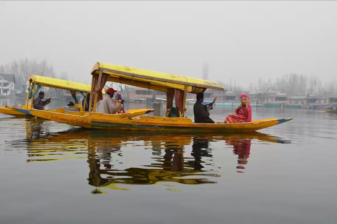 Photo of Six and half girls t