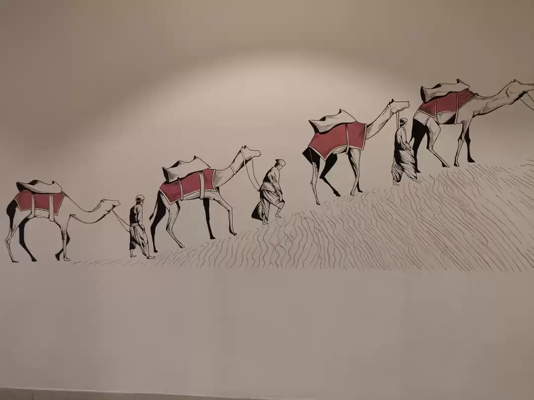 Photo of Reasons why should y