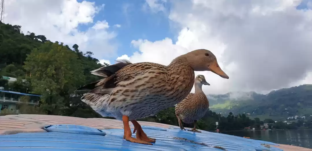 Photo of Friendly locals in N