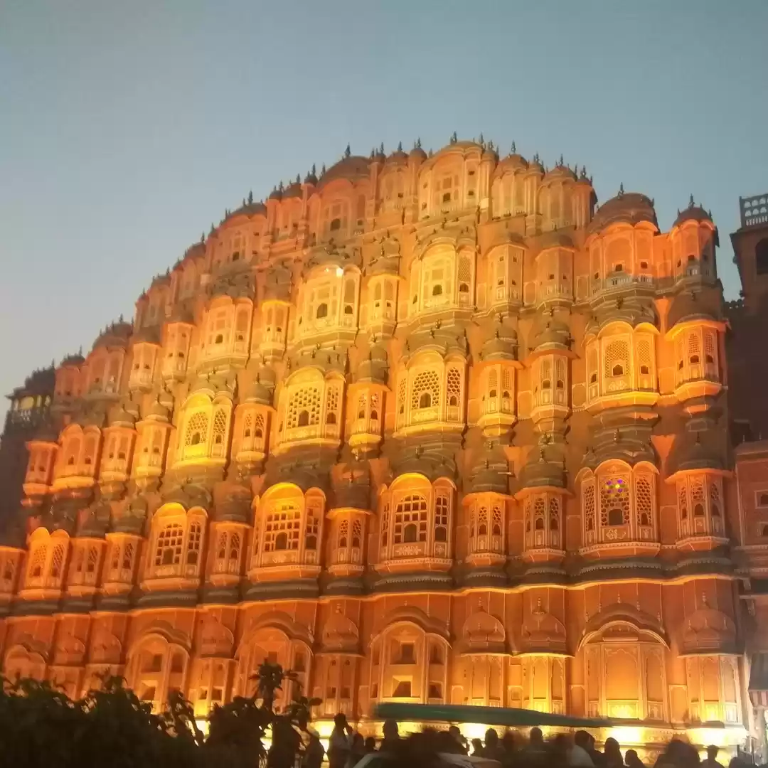 Photo of Winter blossoms in t