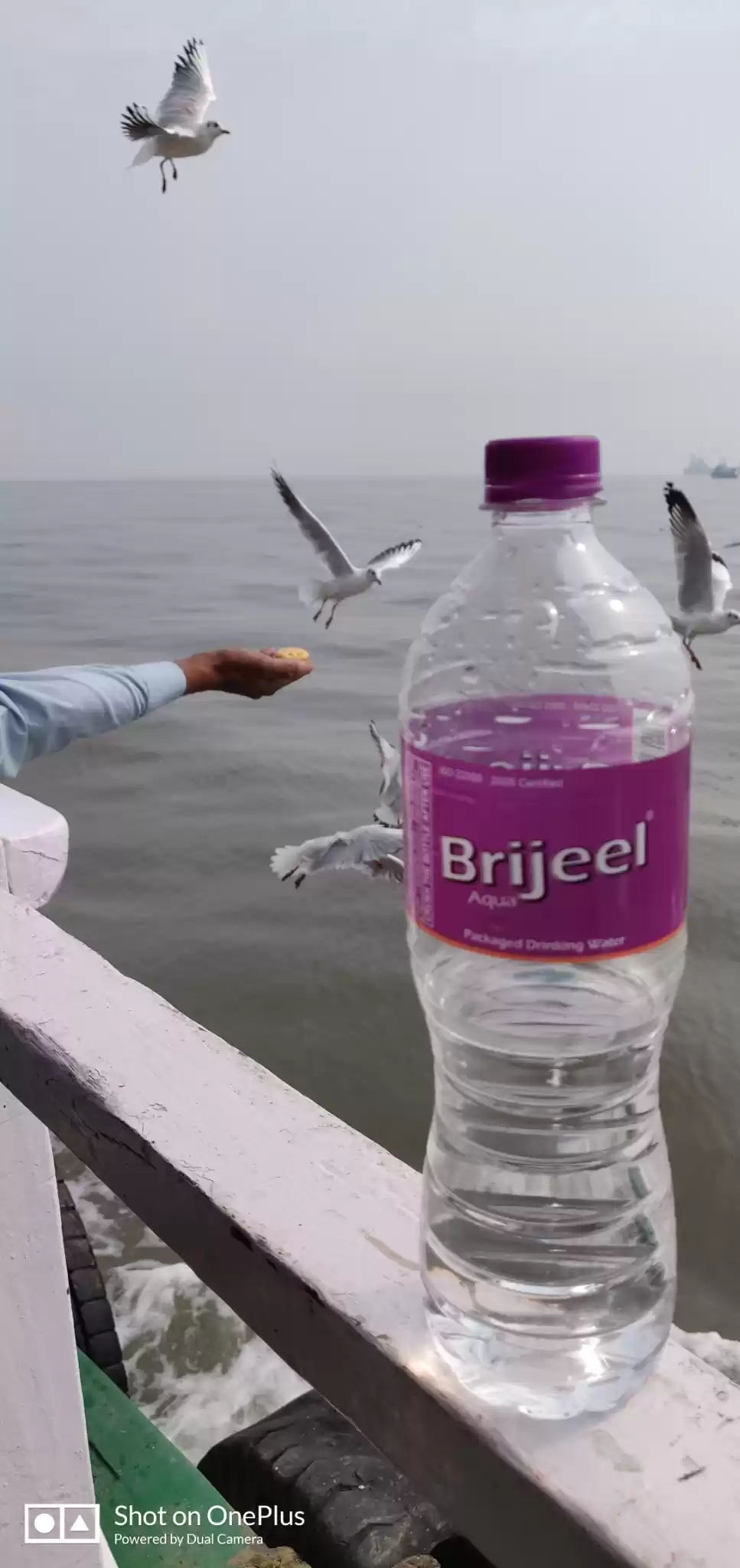 Photo of Island of elephanta