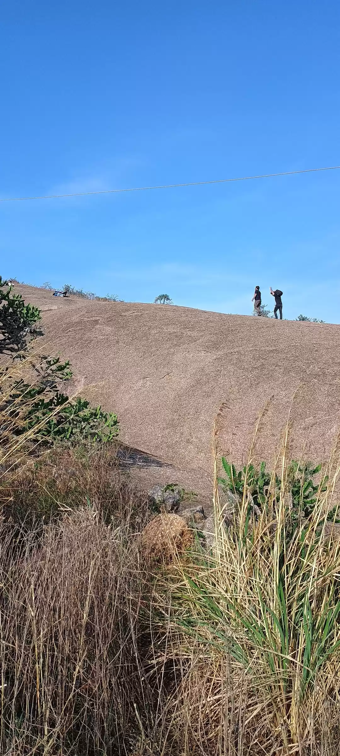 Photo of Dare to Defy Gravity