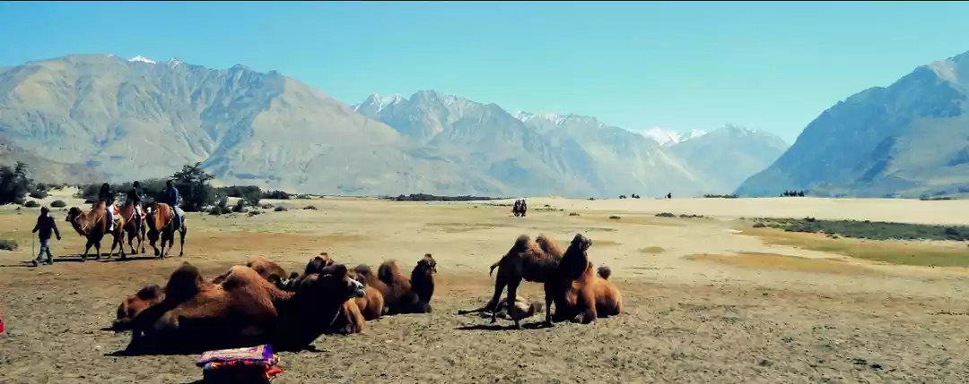 Photo of Hunder to Turtuk and