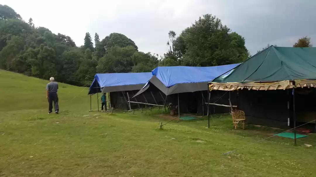 Photo of Chopta: a treasure t