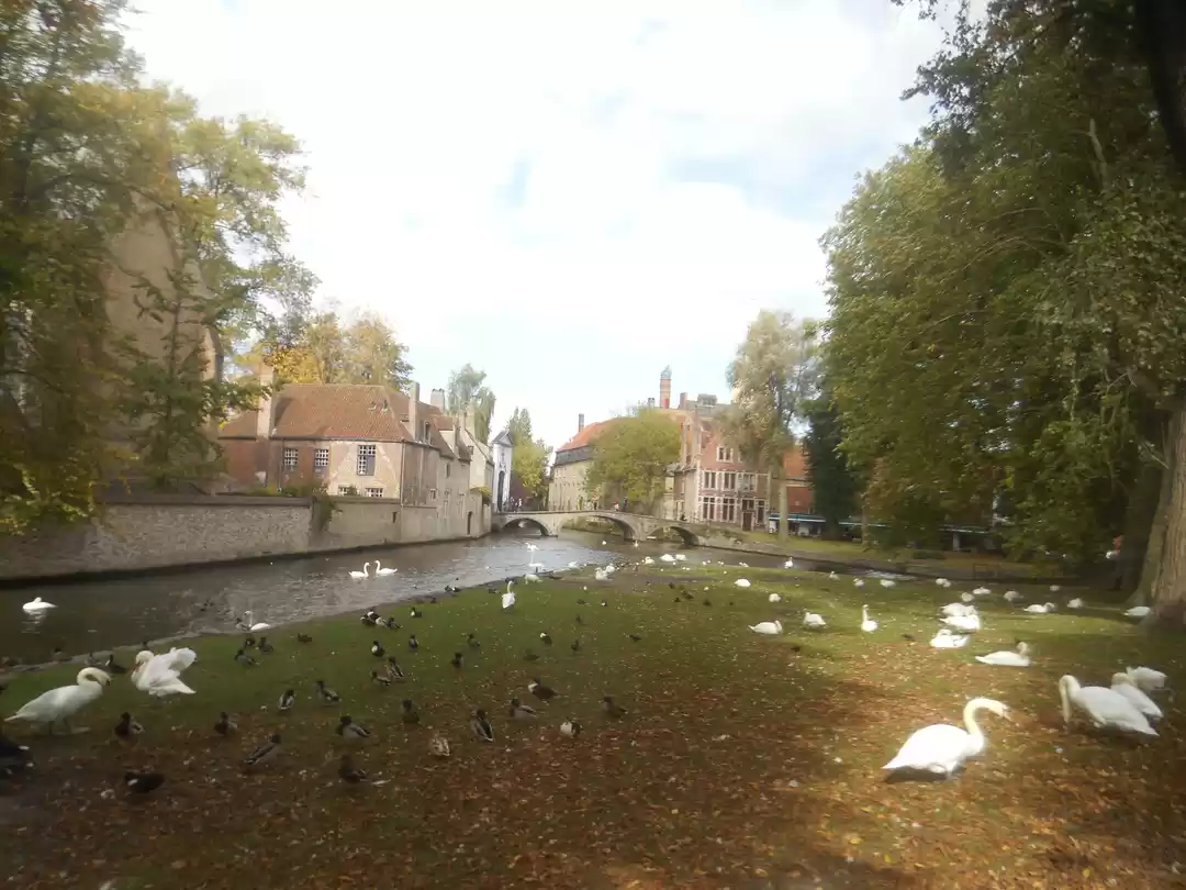 Photo of Best of Brussels and