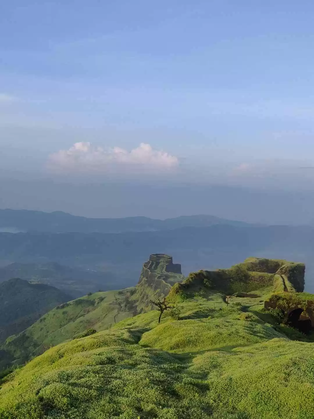 Photo of Historical Range Tre