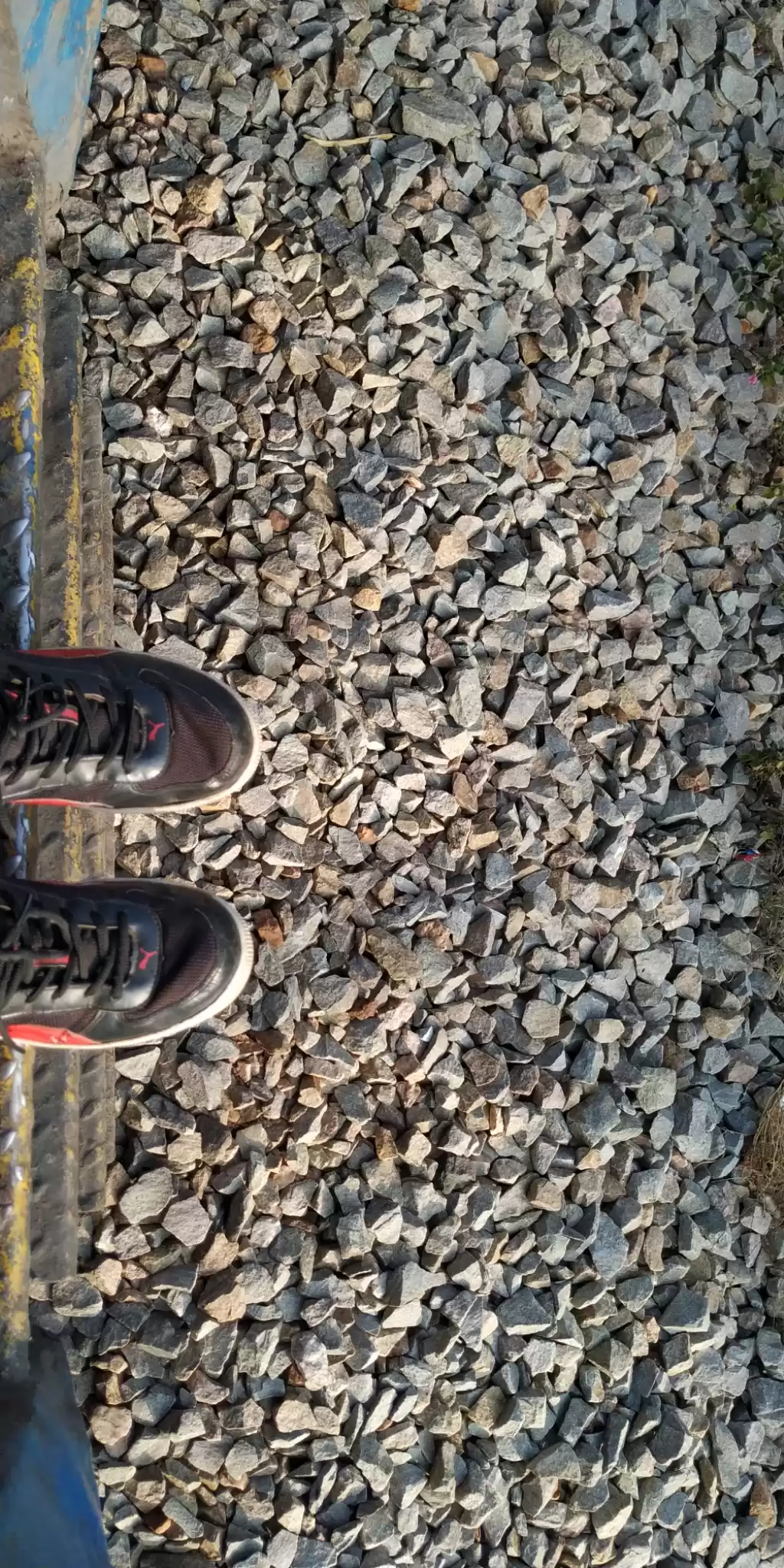 Photo of Goa to Nandi Hills