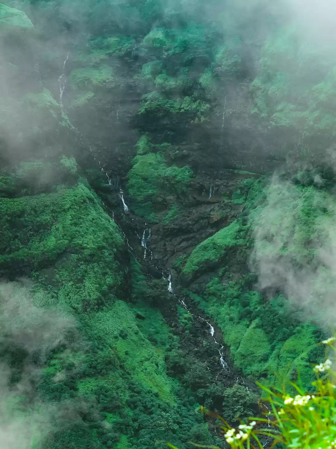 Photo of Experiencing the Ult