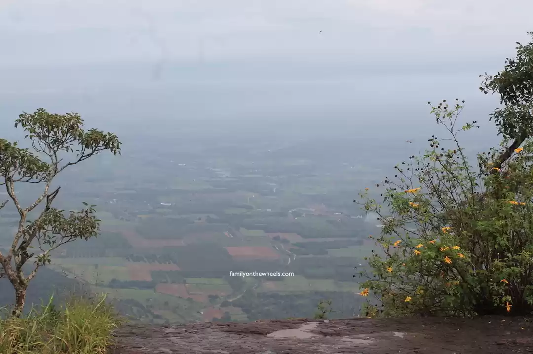 Photo of Chellarkovil , A bea