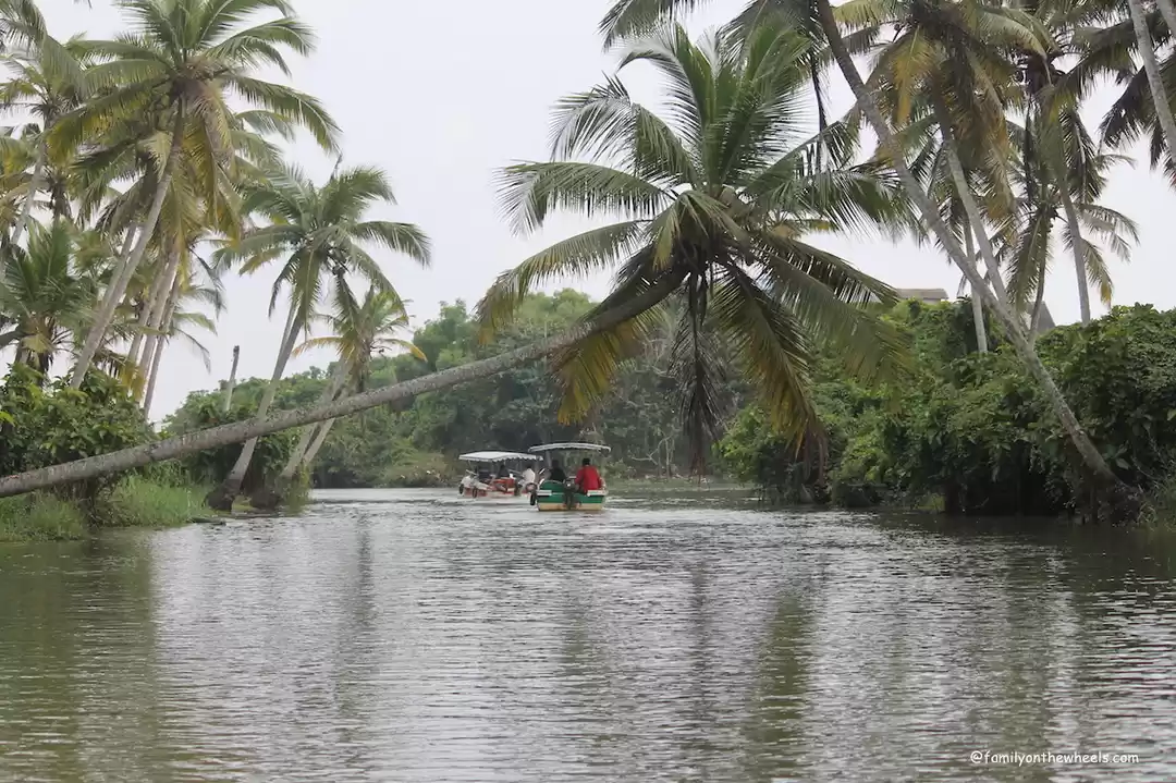 Photo of Poovar Islands : Pla