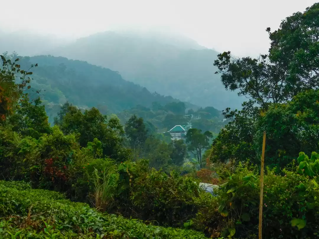 Photo of Unforgettable Kerala