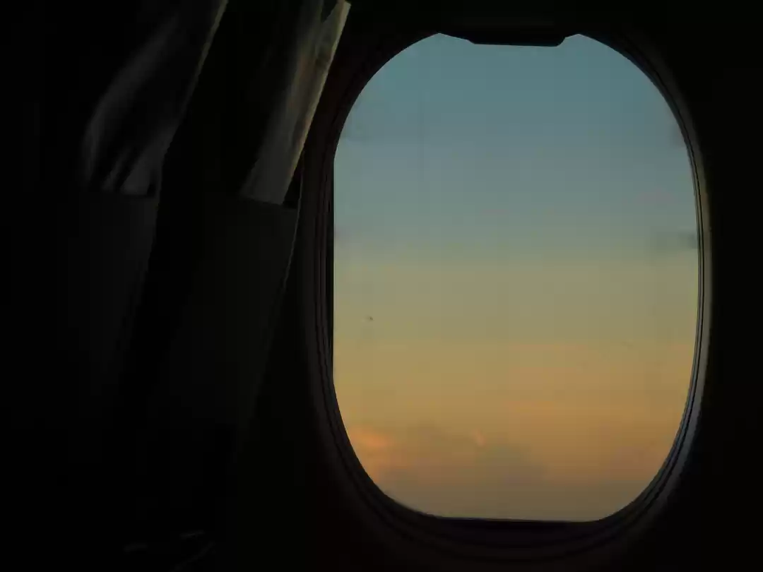 Photo of Divine Trip Of Tamil