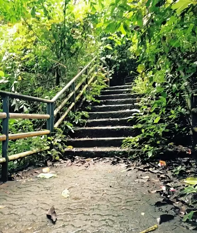 Photo of Kesarval Spring in G