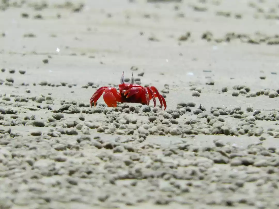 Photo of My Memories