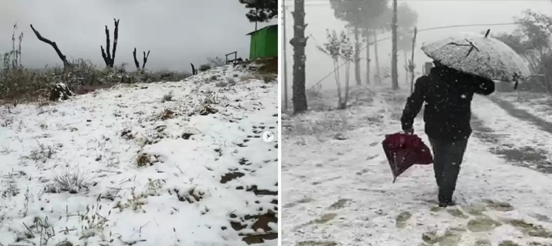 Photo of Unexpected Snowfall 