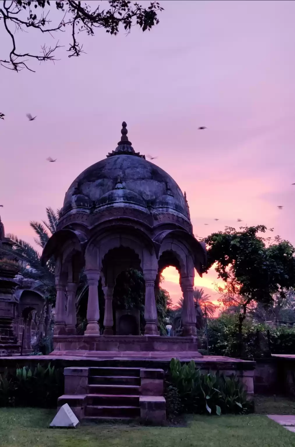 Photo of Mandore Gardens