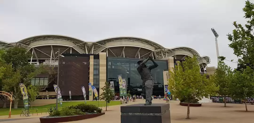 Photo of When cricket makes y