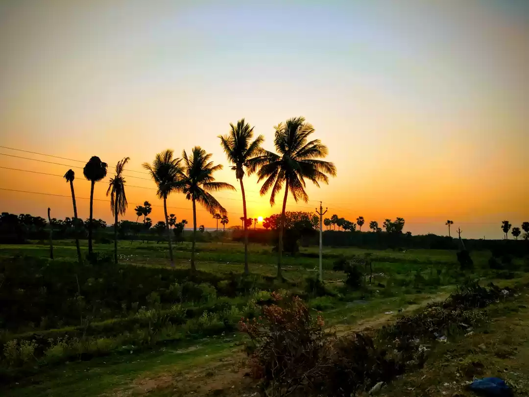 Photo of An unseen beauty of