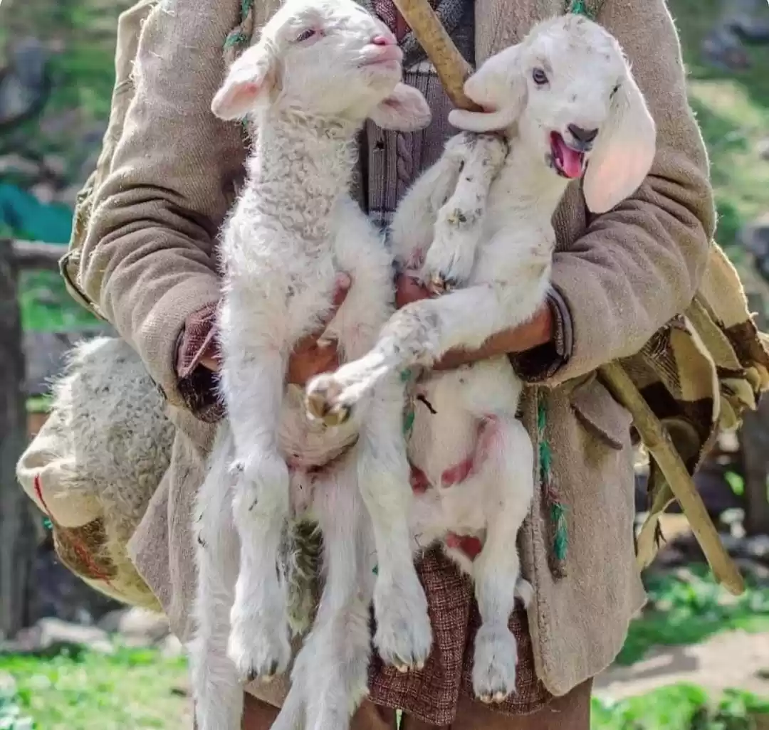 Photo of bundle of happiness