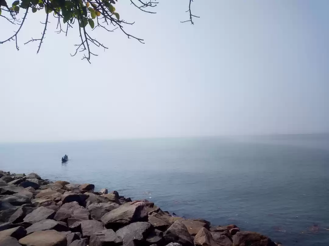 Photo of Because I miss Kochi